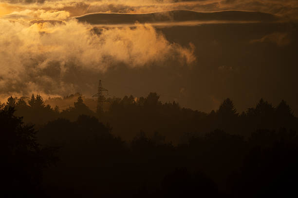 Golden sunlight filters through dense morning fog over a forest landscape, revealing the silhouette of power lines and trees. The warm tones and misty atmosphere create a serene yet slightly mysterious mood, blending elements of nature and human presence. Soft light and layered textures emphasize depth and tranquility.