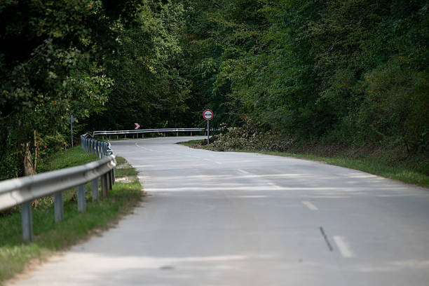 A quiet, winding country road bordered by dense green trees and metal guardrails. The soft light and natural setting create a peaceful rural atmosphere, inviting a sense of calm and exploration. The curve of the road adds depth and a feeling of journey through nature.