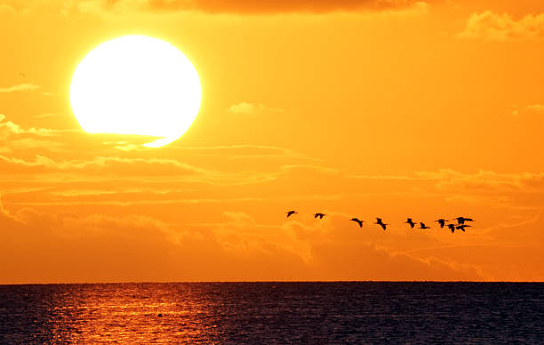 istock Florida Keys Sunset Stock 2242475645