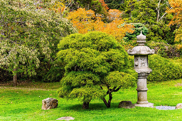 Looking across a wooden footbridge at the Portland Japanese Garden. Large trees are in the background with fog and streaks of sunlight. This is located in the Pacific Northwest in in Portland, Oregon. I am a Photographer level member of the Portland Japanese Garden as required for commercial use.