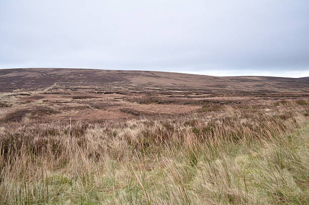 A striking landscape view of the Wicklow Mountains in Ireland, showing a barren upland scene with bog cuttings clearly visible across the rugged terrain. The earthy tones of peat and heather contrast with the vast open sky, capturing the raw natural beauty and traditional land use of rural Wicklow. This photograph reflects Ireland’s timeless mountain landscape shaped by nature and history.