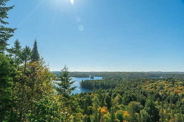 istock Tranquil wilderness scenery of Algonquin Park with trees, lakes, and open sky. 2242482656