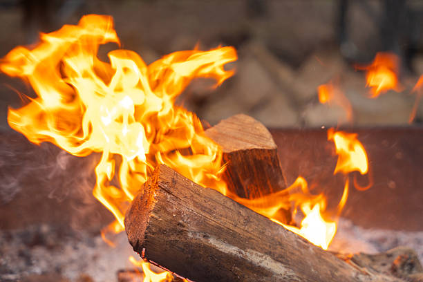 istock Glowing orange firewood flames creating cozy atmosphere in natural camping scene. 2242482765