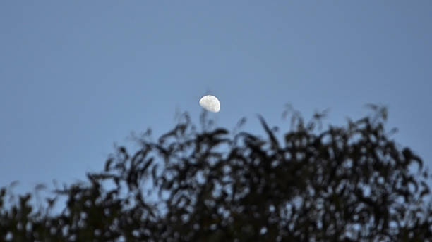 istock The crescent moon visible in the clear blue sky 2242482891