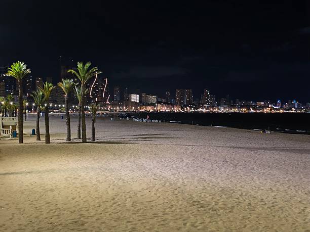 istock serene night scene with palms and lights, peaceful beach at night with distant city illumination 2242489502