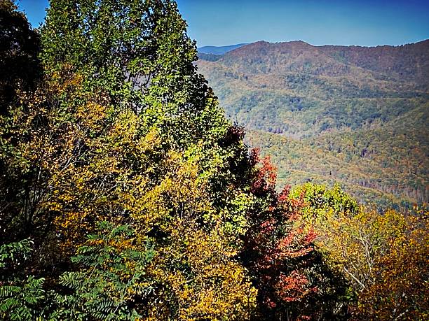 istock Autumn Leaves in the Blue Ridge Mountains 2242495677