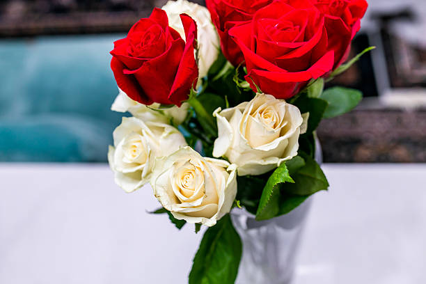 Roses on a bright background red and white. Mother's Day, birthday. For banners and magazines. Copy space