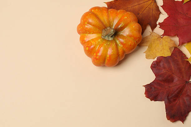 istock Pumpkins, acorns and fallen leaves on a beige background with space for design. 2242503599
