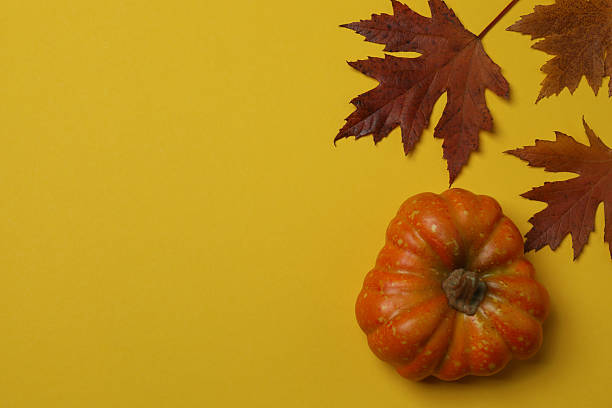 istock Pumpkins, acorns and fallen leaves on a yellow background with space for design. 2242504169