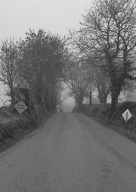 istock spooky foggy road 2242505673