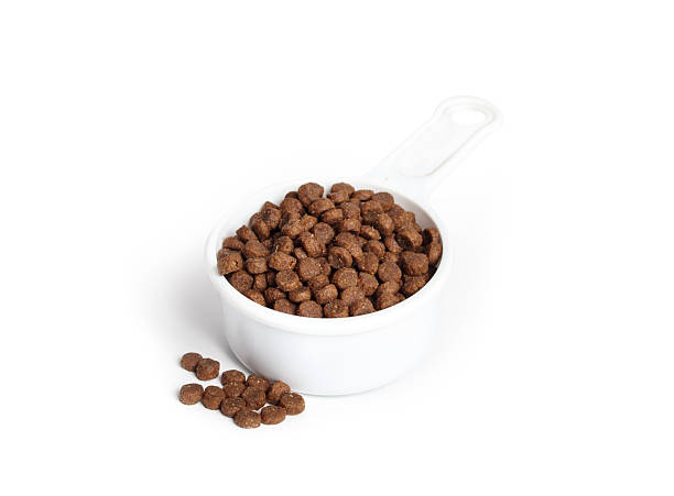 istock Insect protein kibble for cats or dogs in measuring cup. 2242505740