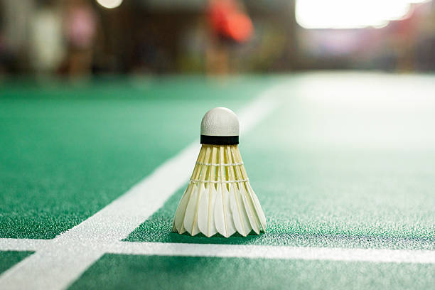 istock Badminton Sports rackets and shuttlecocks on green floor. 2242508262