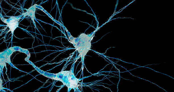 istock Close-up illustration of neural tissue suggesting extraterrestrial life forms. 2242510671