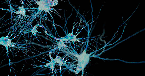 istock Abstract visualization of mutated neuron connections in a scientific environment. 2242510675