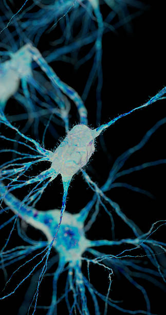 istock Artistic representation of a neuron network in motion, glowing with energy. 2242510922