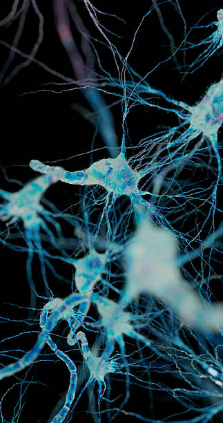 istock Electric impulses pass through neuron fibers creating a biological circuit. 2242510963