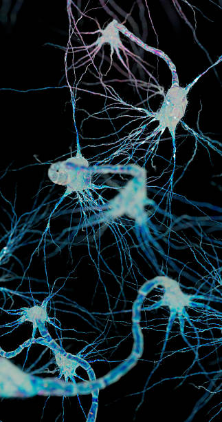 istock A luminous web of neurons spreads across a dark background, symbolizing brain intelligence. 2242510965
