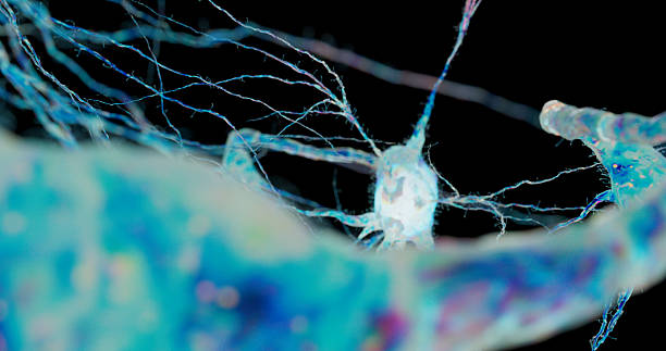 istock Neural pathways expand outward, forming a structure of thought. 2242511002