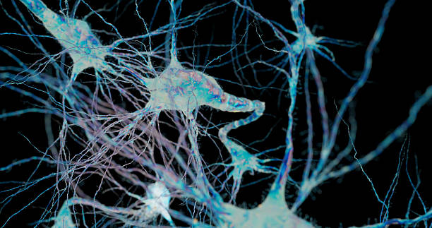 istock Abstract illustration showing neurons glowing with biological signals. 2242511019