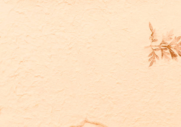 Orange paper with dry leaves pattern background, blank orange paper texture background