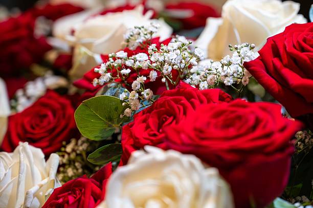 istock Vibrant red and white roses with baby's breath. 2242512310