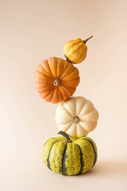 istock Creative autumn balance  concept with colorful pumpkin on a  beige backround 2242522702