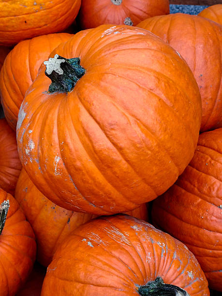 istock Pumpkins in a box, autumn fruit and Halloween decoration. 2242522766