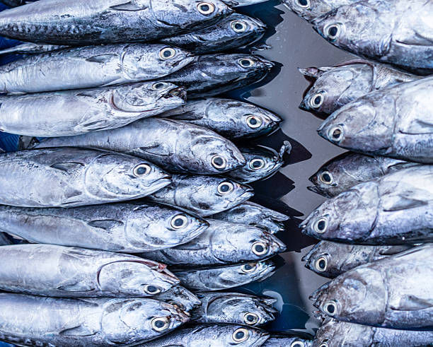 istock Fresh fish at the seafood market 2242523344
