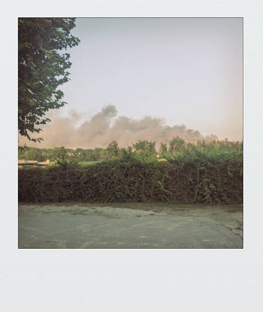 Fire in forest. Smoke and fire in nature. Burning garbage. Illegal landfill is on fire.