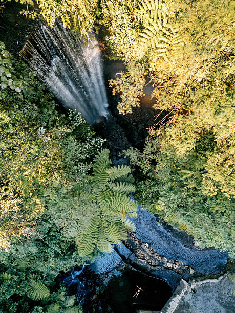 Woman swims in clear natural pool beneath a tropical waterfall, top-down drone view of lush jungle paradise and serene escape