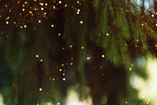 Festive golden bokeh among fir branches, warm Christmas background. High quality photo