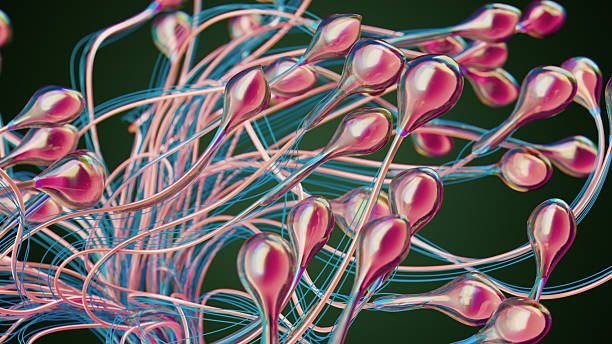 istock Abstract Network Of Pink Glossy Sperm Cells With Intertwined Tubes In Studio Lighting 2242537150