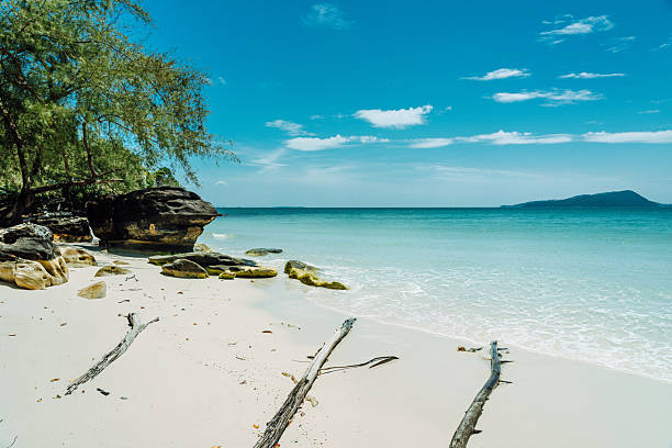 A pristine Koh Rong beach on Cambodia's Sihanoukville coast features clear turquoise water, white sand, rocks, driftwood, and shaded trees. Perfect for travel, nature, or tropical vacation themes.