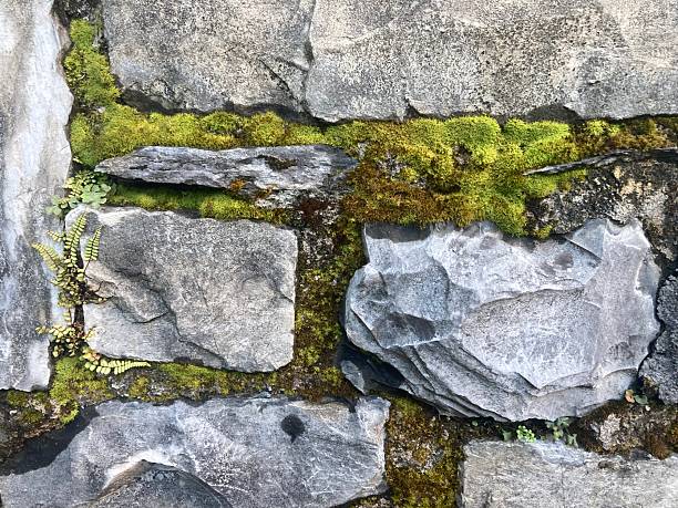 Rough hewn stone surfaces, prevalent in the historic districts of Southern Europe, showcase the craftsmanship of bygone eras with their natural, uneven textures. These robust stones contribute to the character and authenticity of ancient architecture, inviting visitors to explore rich cultural heritage.