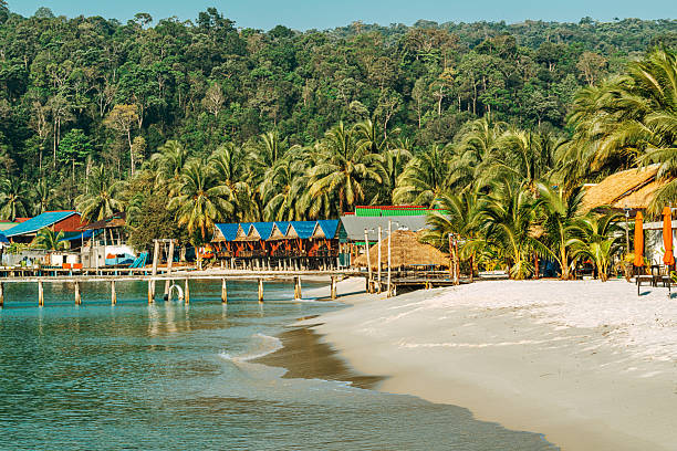 istock Tropical Beachfront Village With Palm Trees And Pier 2242538569