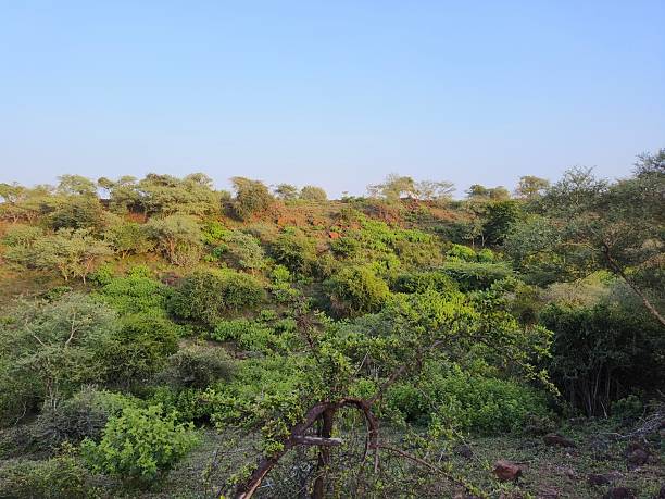 istock Lush green, hilly landscape, 2242541866