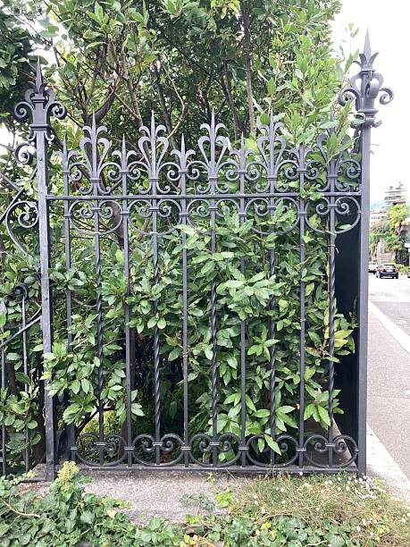 istock Vintage Architectural Wrought Iron Gate – High-Quality Stock Images 2242542201