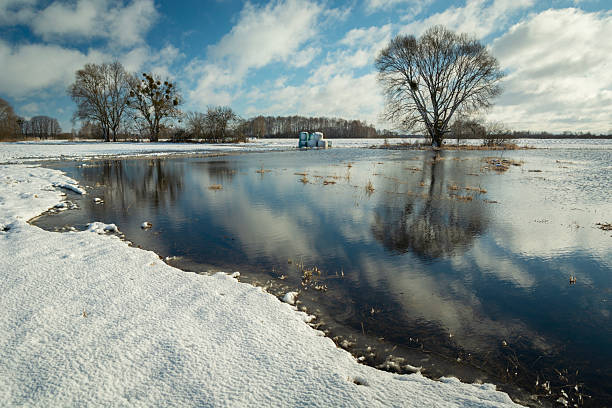 winter landscape