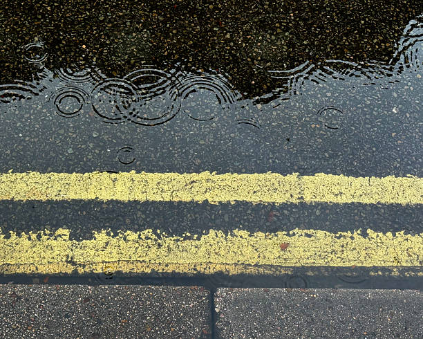 empty asphalt road on a rainy autumn day, covered with fallen leaves.