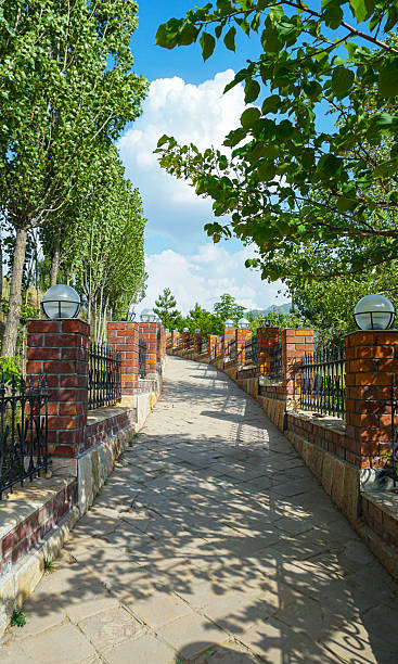 istock A narrow stone path in the garden 2242550374