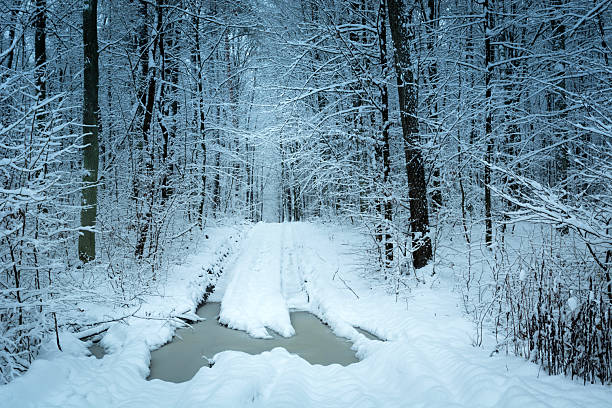 A narrow stream flows through a quiet winter forest, surrounded by snow-covered ground and bare trees. The water remains unfrozen, creating a contrast with the white landscape