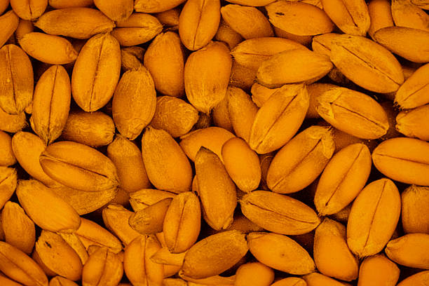 Background filled with yellow corn kernels