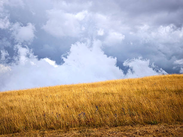 Low clouds on the Sibillini mountains at Piani di Ragnòlo, a vast plateau which extends between the Municipalities of Sarnano and Fiastra, Marche, Italy.