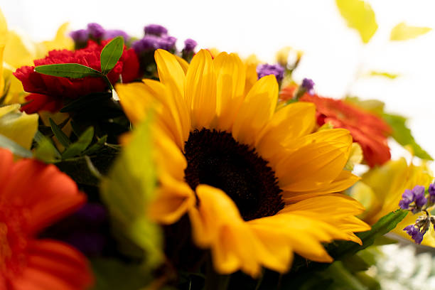 A bright, close-up photograph showcasing a dense and colorful mix of flowers. Dominant elements include the vibrant yellow petals of a sunflower in the foreground, a textured red carnation at the center, and accents of bright purple Statice (Limonium). The image is rich in color and detail, conveying joy and celebration