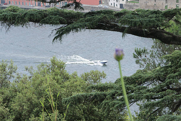 Porto, Portugal - June 10, 2025: Speedboat navigates smoothly over a Douro river surrounded by vibrant greenery and distant colorful structures, embodying spirit of summer adventure and relaxation