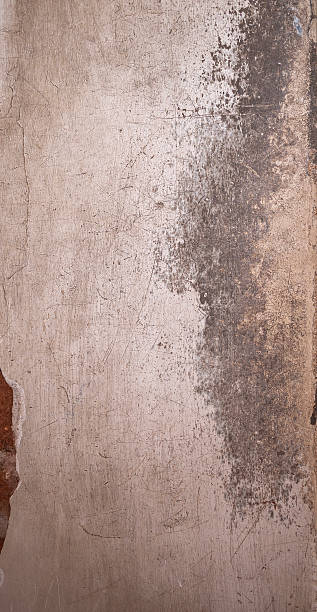 istock Abstract texture of a shabby old wall with peeling paint, cracks and chips 2242561855