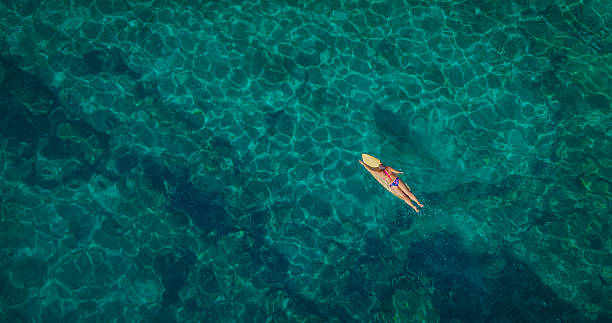 istock AERIAL TOP DOWN: Female surfer paddles her surfboard through turquoise water 2242561957