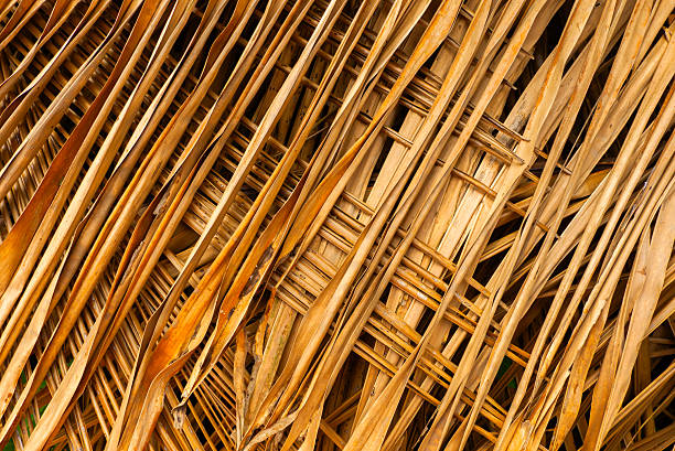 Bamboo craft shop in Chiang Mai, Thailand