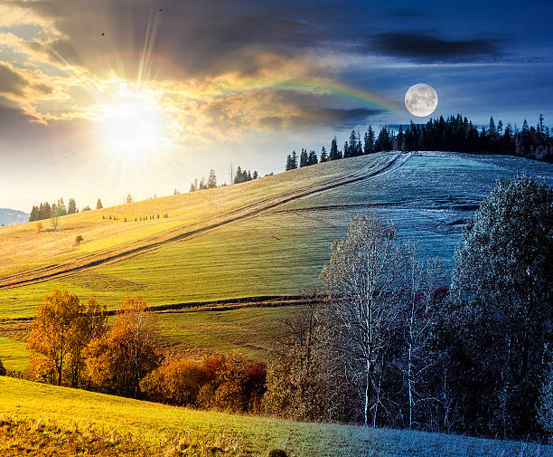 istock forest on grassy hill on autumn equinox 2242568352