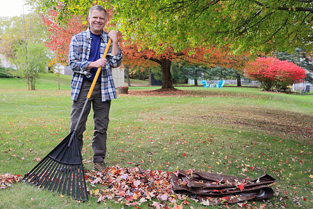 istock Middle-aged man raking leaves in his backyard during fall 2242569245